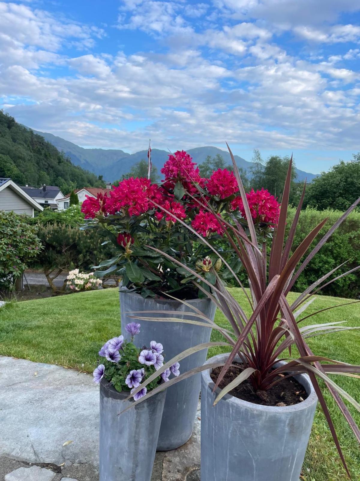 Ks Apartment Near Bergen Luaran gambar